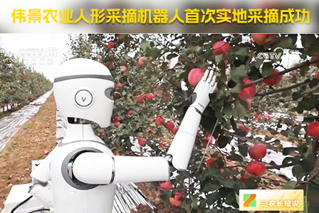 喜迎国庆，央视专访：伟景农业人形采摘机器人首次实地采摘成功，开启智慧农业新纪元